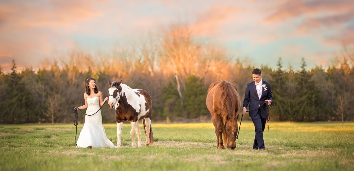 ranch of the saints horse